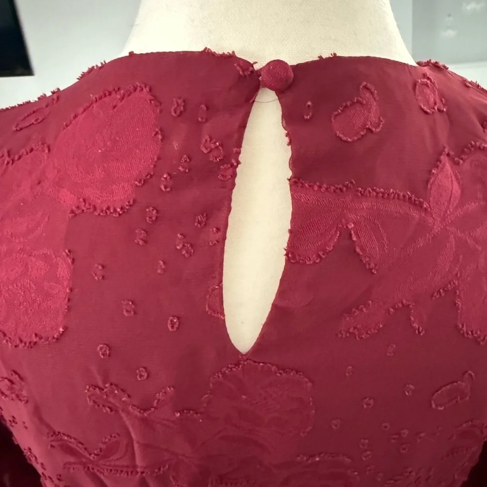 Aura Burgundy  Dress